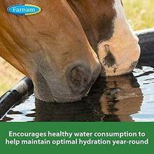 Load image into Gallery viewer, Apple Elite Electrolyte, 5lbs