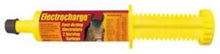Load image into Gallery viewer, Electrocharge Paste Electrolyte, 2oz