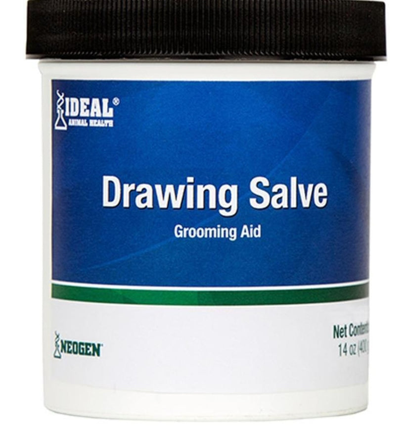 Squire Ichthammol Drawing Salve, 14oz