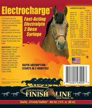 Load image into Gallery viewer, Electrocharge Paste Electrolyte, 2oz
