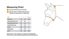 Load image into Gallery viewer, Fly Mask Cashel Orange
