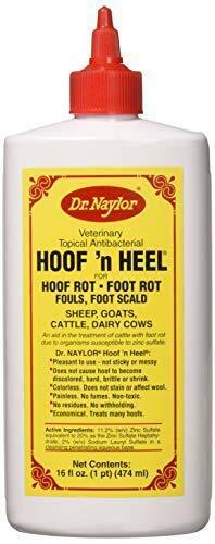 Hoof N' Heel Ointment,16oz